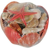 105946 ΚΑΛΑΘΙ ΟΣΤΡΑΚΑ PECTEN VIXILUM 4-